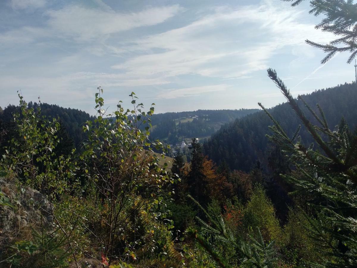 Haus Annemarie Apartment Goldkronach Екстериор снимка